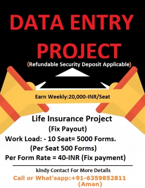 data entry project 